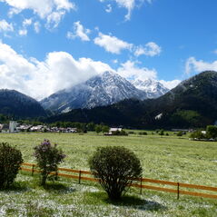 Ausblick